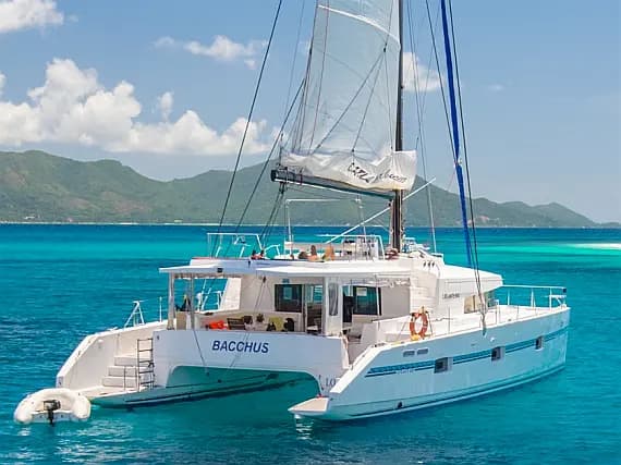 Catlante 600 in Eden Island / Mahe, Victoria / Eden Island Marina - image 1